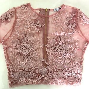 Fashion Nova Sheer Lace Embroidered Top with Zipper back - Dusty Rose Size XL